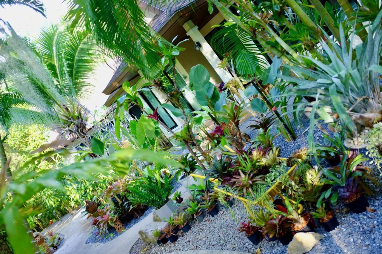 The Nature House Aonang Krabi Thailand Ao Nang Exterior photo